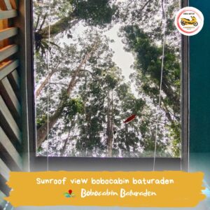 bobocabin01