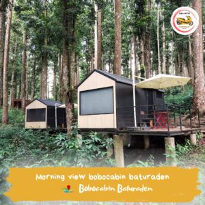 bobocabin03